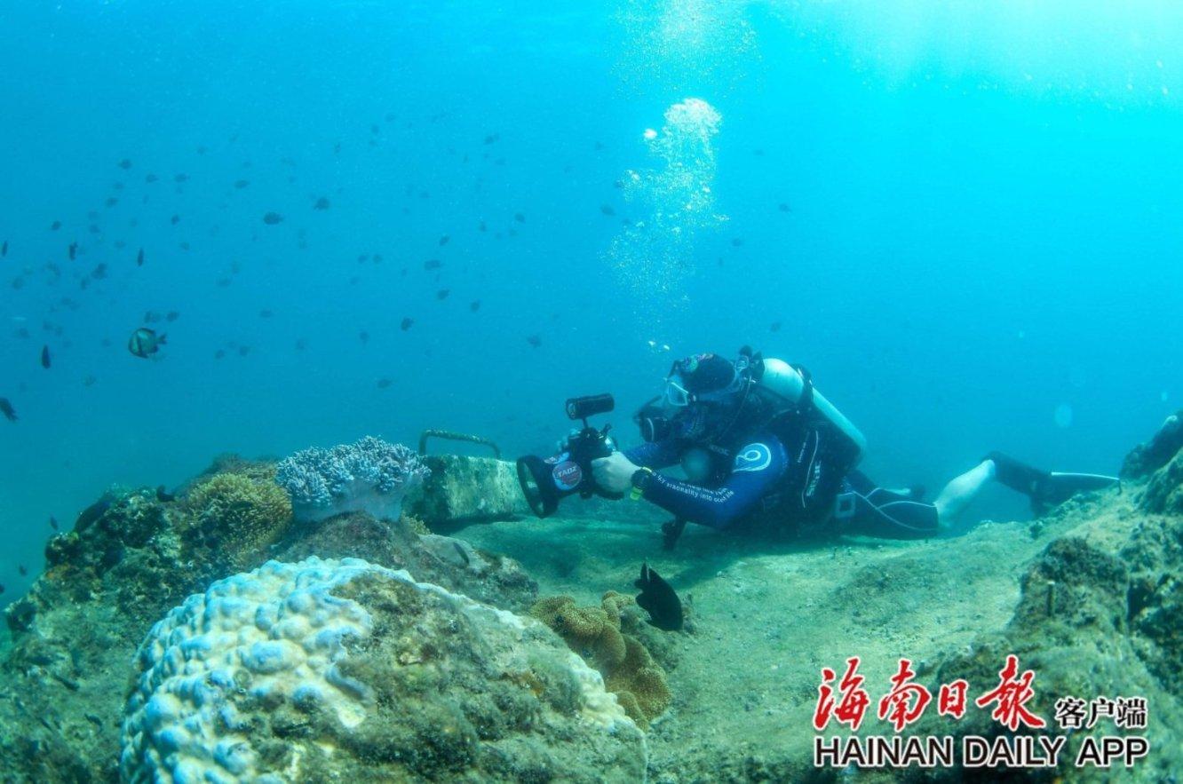 羽毛球教练如何获得证书？考试时间、报考条件和科目是怎样的？